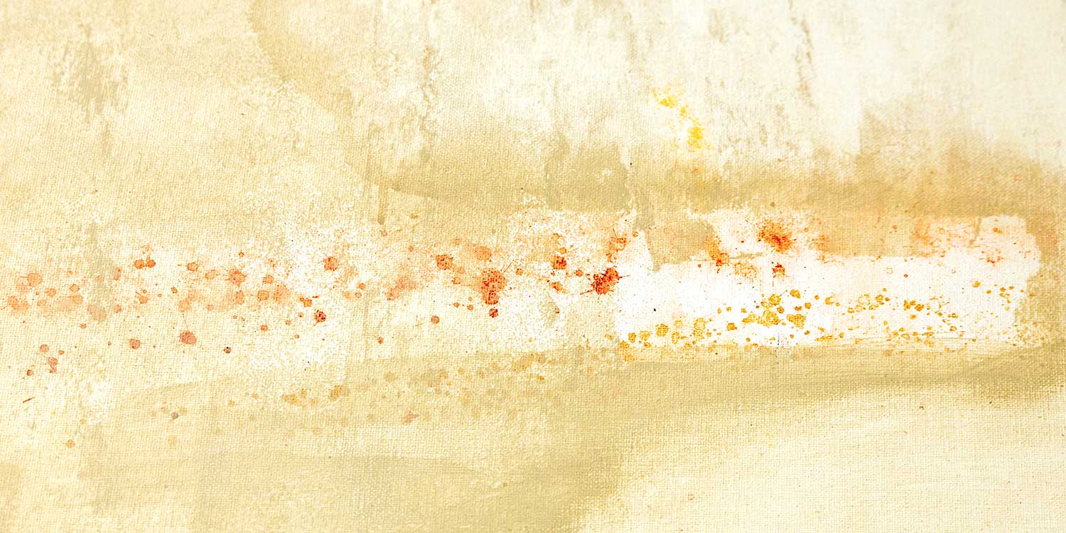 Supervision Dortmund Heide Alscher